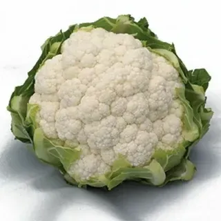 Цветная Капуста Кристоф (ранняя), кассета 6 шт.